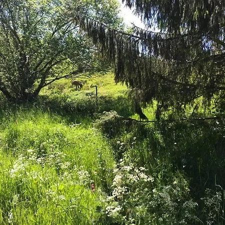 Lägenhet 6 Pers - Les 4 Loups Au Pied Des Pistes