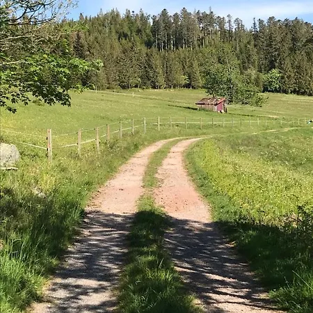 Lägenhet 6 Pers - Les 4 Loups Au Pied Des Pistes