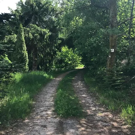 Lejlighed 6 Pers - Les 4 Loups Au Pied Des Pistes Gérardmer