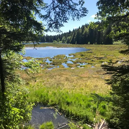 6 Pers - Les 4 Loups Au Pied Des Pistes