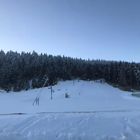 6 Pers - Les 4 Loups Au Pied Des Pistes Apartment Gerardmer