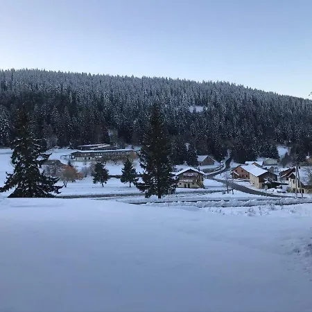 6 Pers - Les 4 Loups Au Pied Des Pistes Lägenhet Gérardmer
