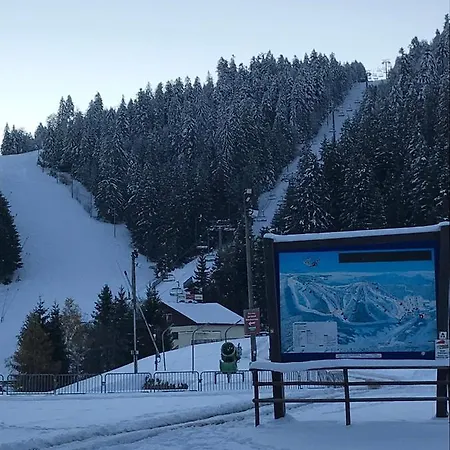 6 Pers - Les 4 Loups Au Pied Des Pistes * Gerardmer