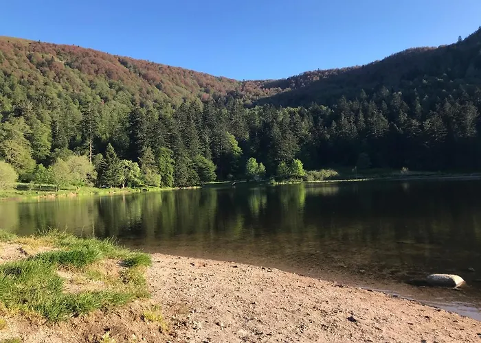 Apartmán 6 Pers - Les 4 Loups Au Pied Des Pistes Gérardmer