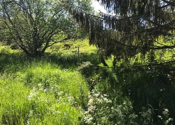 Apartmán 6 Pers - Les 4 Loups Au Pied Des Pistes