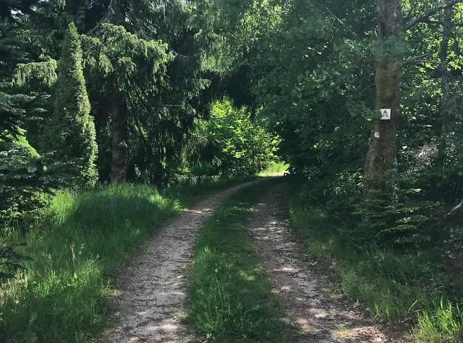 Apartmán 6 Pers - Les 4 Loups Au Pied Des Pistes Gérardmer