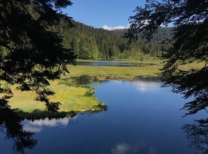 6 Pers - Les 4 Loups Au Pied Des Pistes * Gérardmer