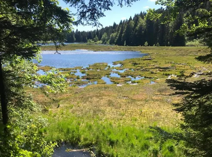 6 Pers - Les 4 Loups Au Pied Des Pistes