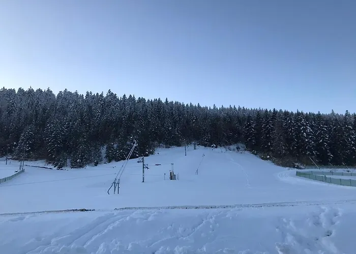 6 Pers - Les 4 Loups Au Pied Des Pistes Appartamento Gérardmer
