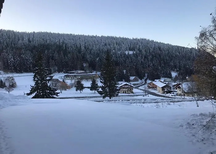 6 Pers - Les 4 Loups Au Pied Des Pistes Lejlighed Gérardmer