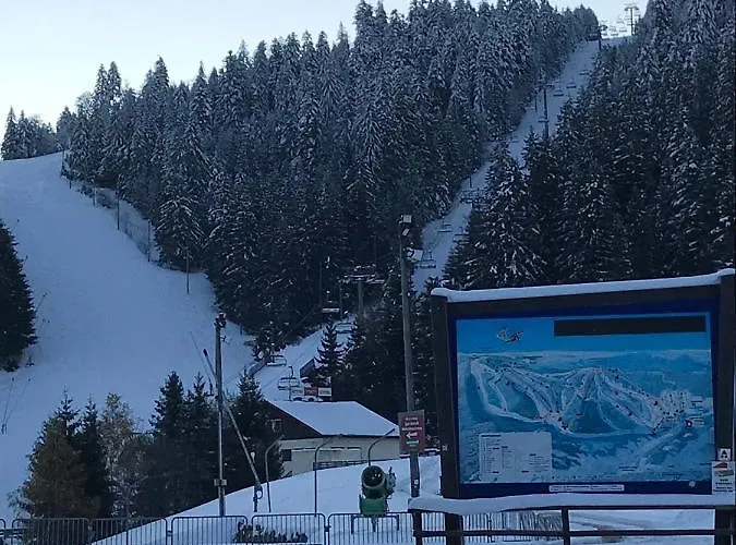 6 Pers - Les 4 Loups Au Pied Des Pistes * Gérardmer
