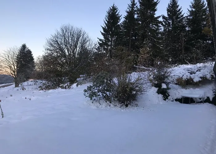 Appartamento 6 Pers - Les 4 Loups Au Pied Des Pistes *