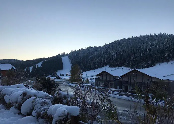 6 Pers - Les 4 Loups Au Pied Des Pistes Apartmán Gérardmer